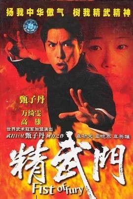 精武门/Fist of Fury(1995)