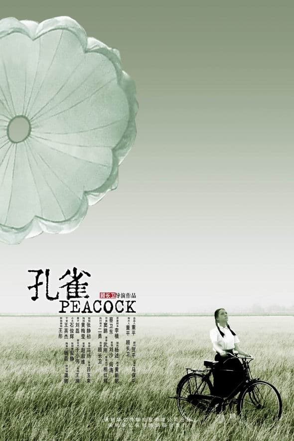 剧情片《孔雀》（2005）