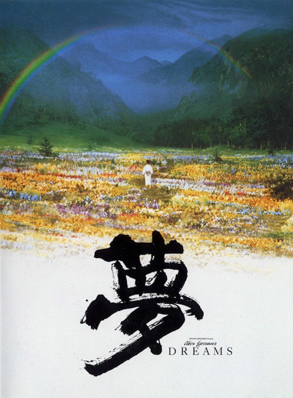 剧情片《梦》（1990）