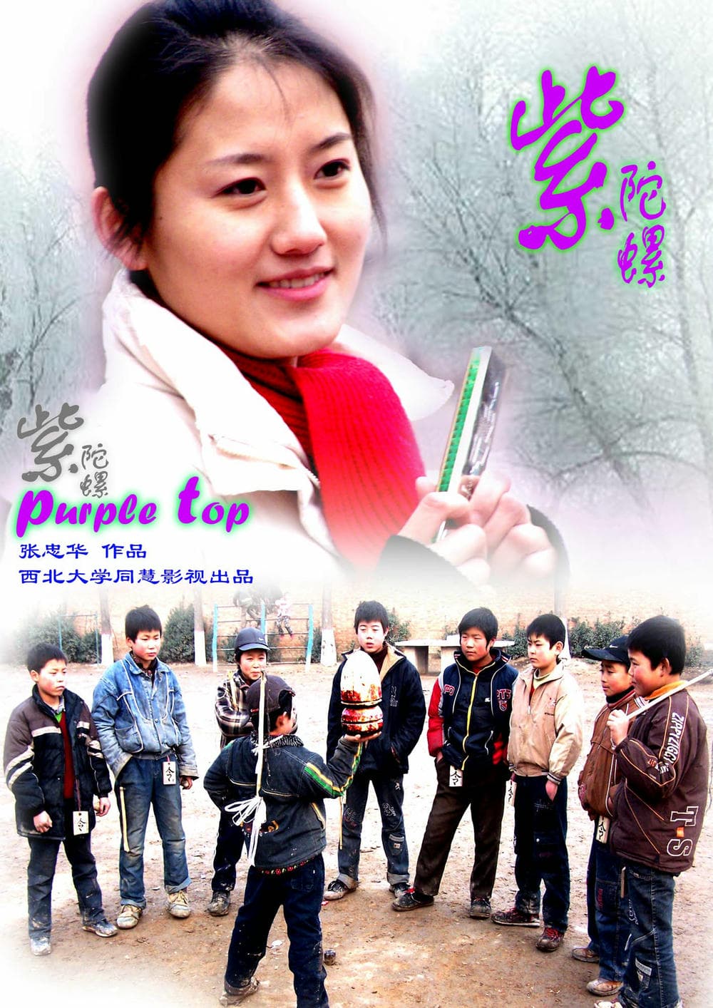 剧情片《紫陀螺》（2006）